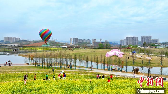 湖北宜昌卷橋河濕地公園內(nèi)，市民相伴享受都市里的田園之樂 周星亮 攝