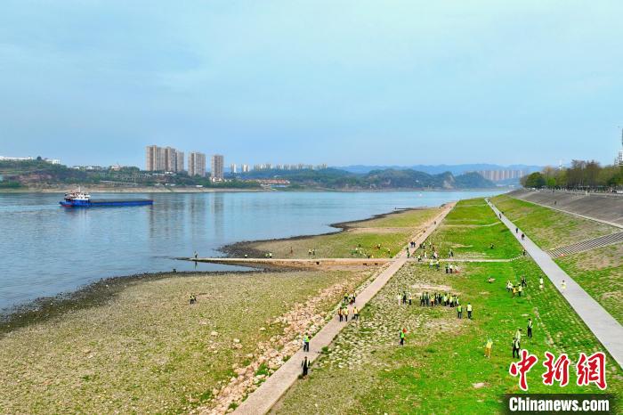 在宜昌城區(qū)長江岸畔，市民化身“護江使者”沿江而行 周星亮 攝